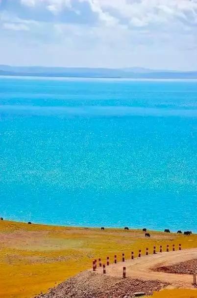 青海,高原明珠谱写绿色发展新篇章